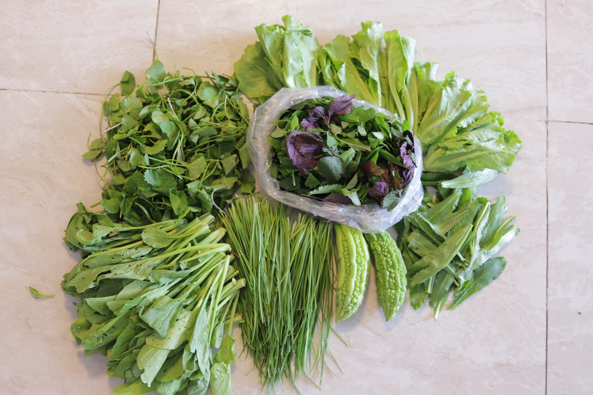 Bó rau muống xanh mướt, rau dền và rau cải tươi